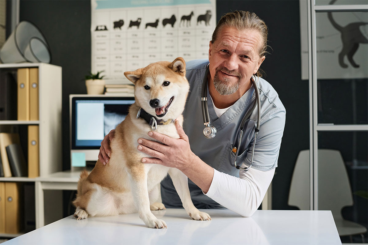 A vet smiling with a dog